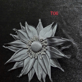CÀI ÁO MẪU T06