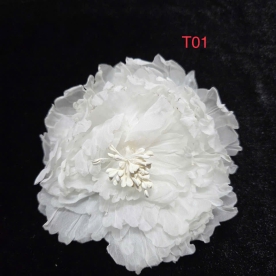 CÀI ÁO MẪU T01