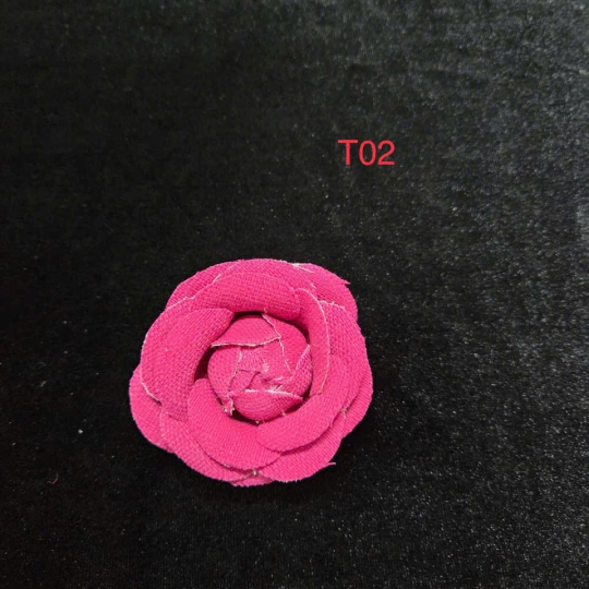 CÀI ÁO MẪU T02